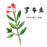 草本植物药材