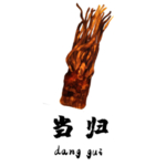 草本植物药材