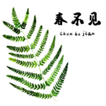草本植物药材