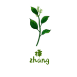 草本植物药材