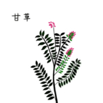 草本植物药材