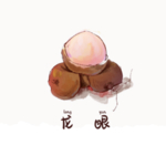 草本植物药材