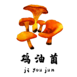 草本植物药材