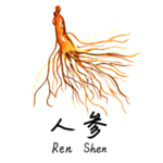 草本植物药材