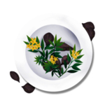 草本植物