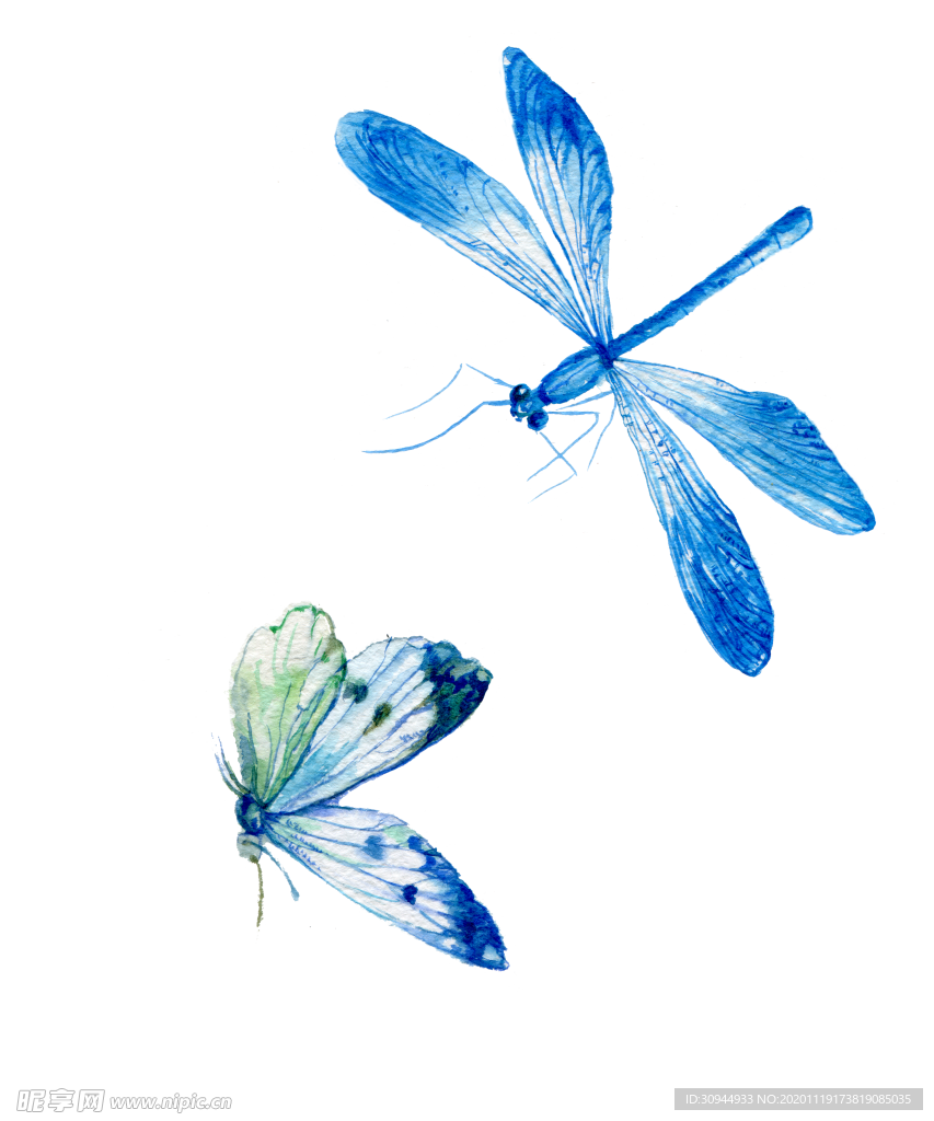 蜻蜓