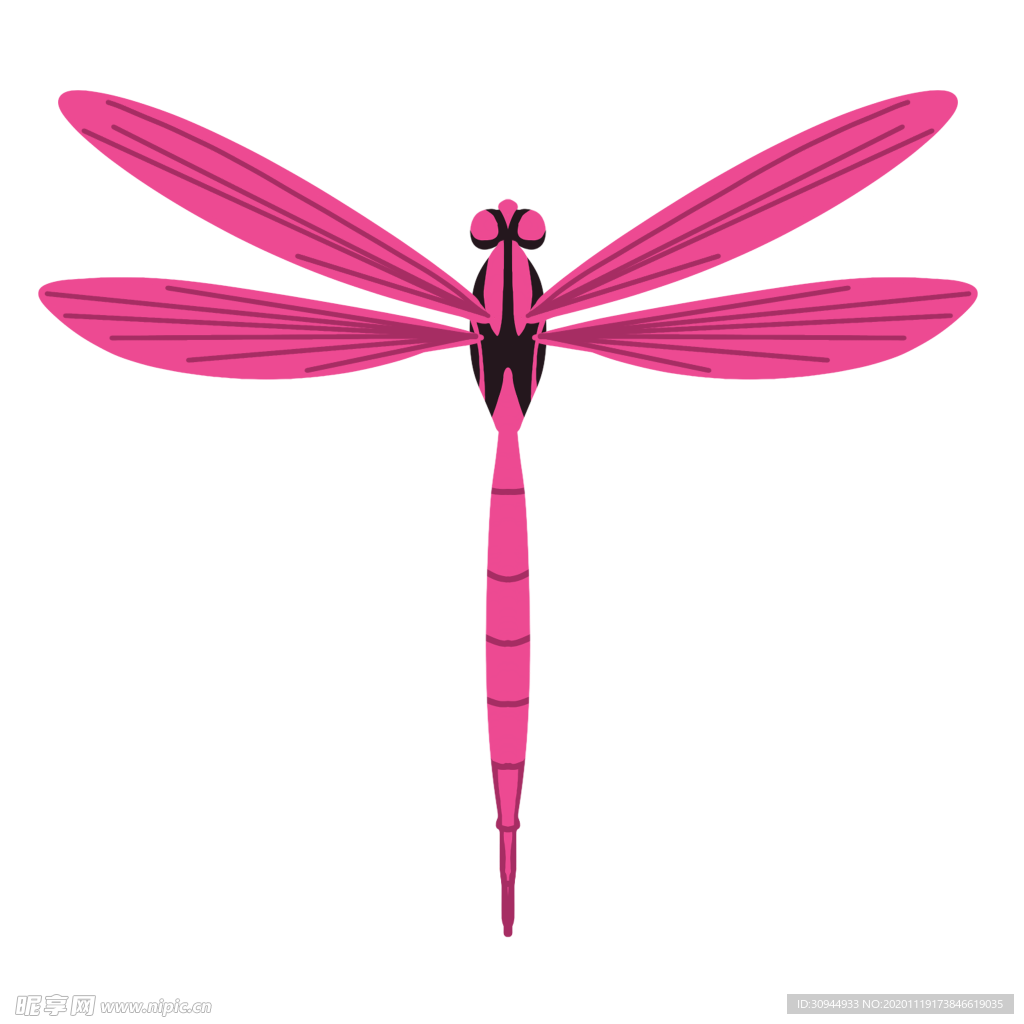 蜻蜓