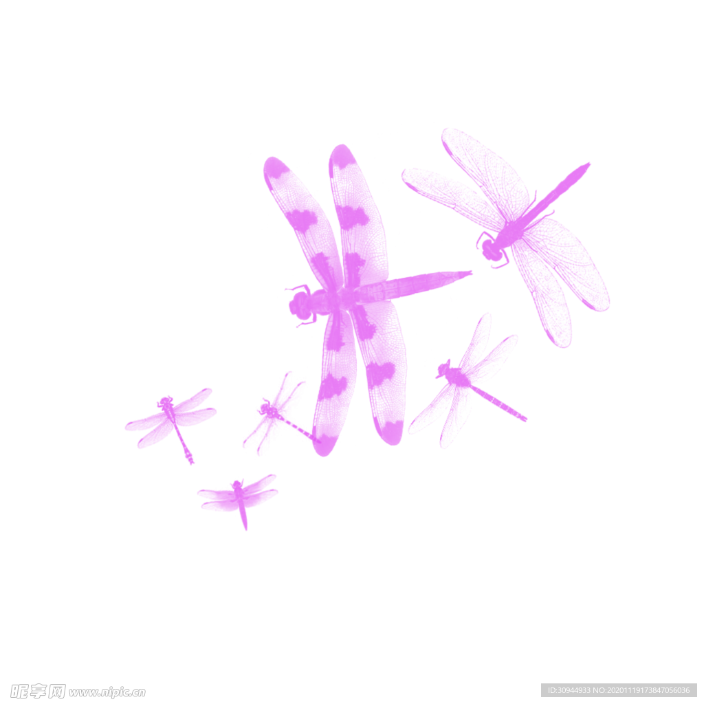 蜻蜓