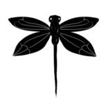 蜻蜓