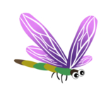 蜻蜓