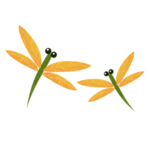 蜻蜓