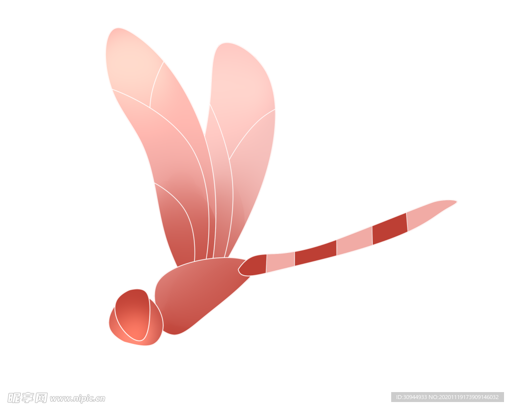 蜻蜓