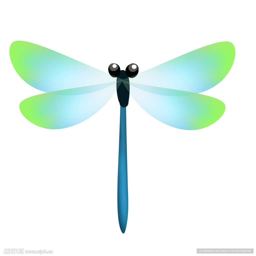 蜻蜓
