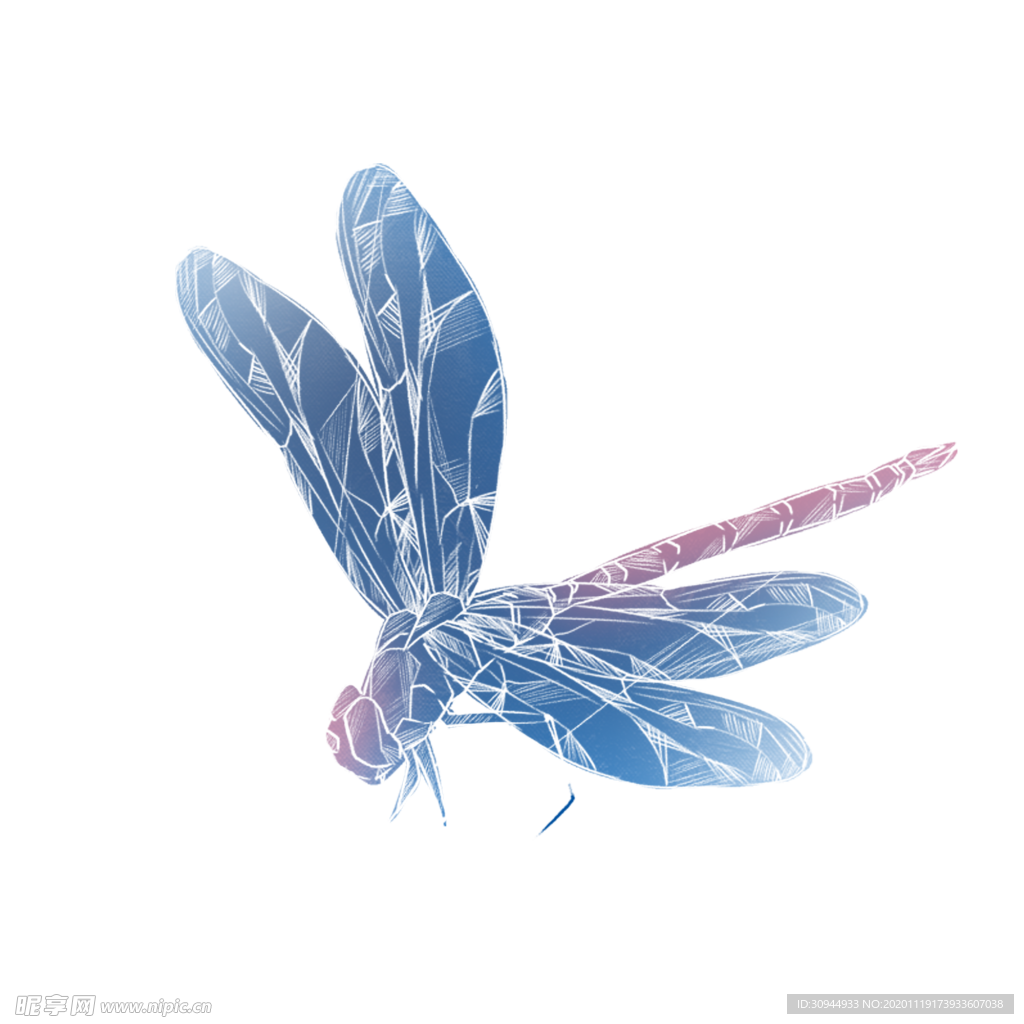蜻蜓