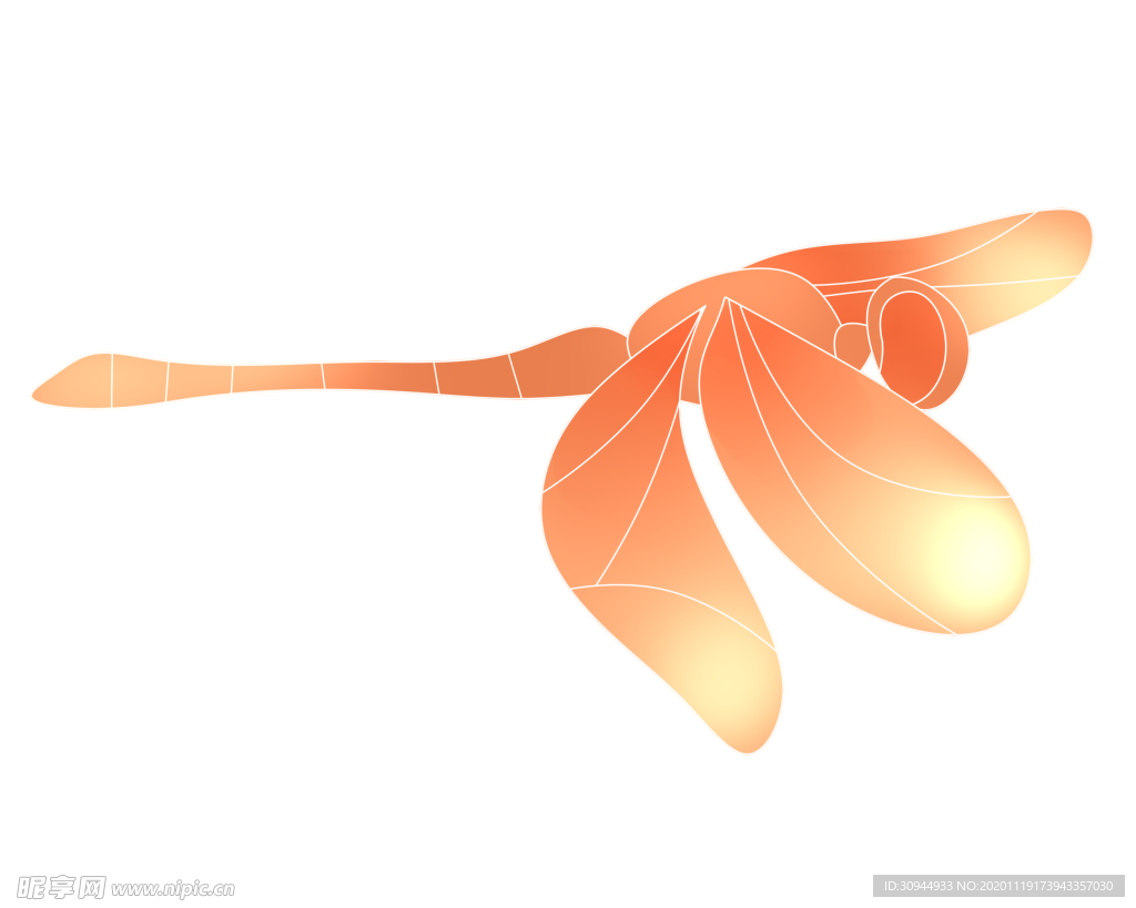 蜻蜓