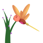 蜻蜓