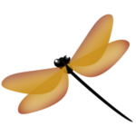 蜻蜓