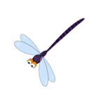 蜻蜓