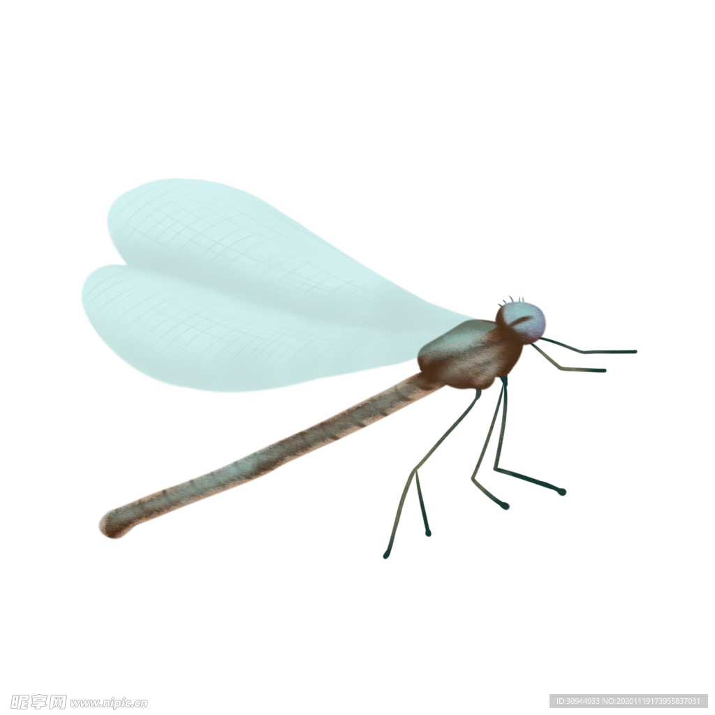 蜻蜓