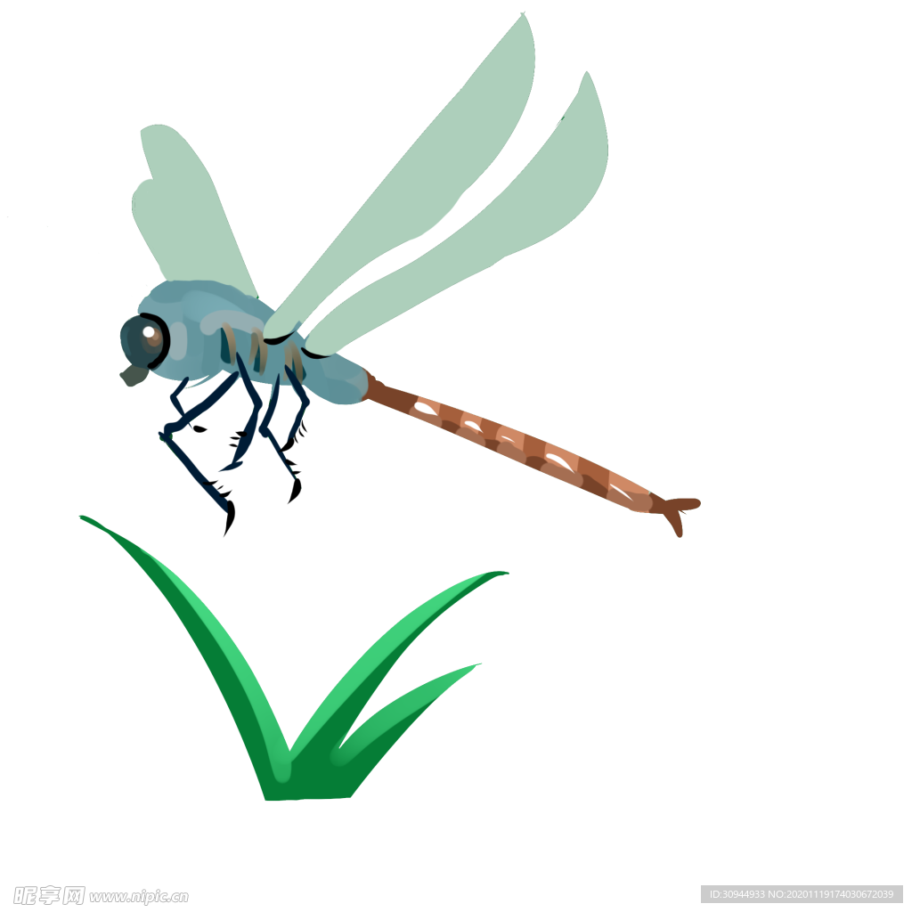 蜻蜓