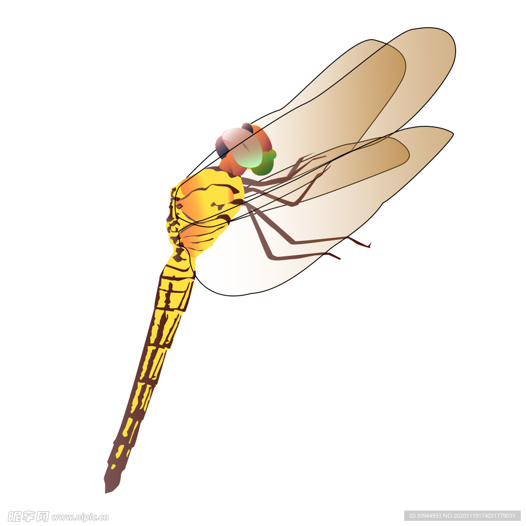 蜻蜓
