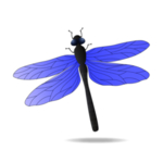 蜻蜓