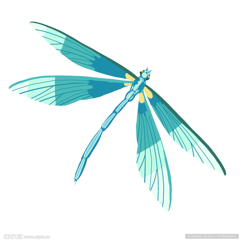 蜻蜓