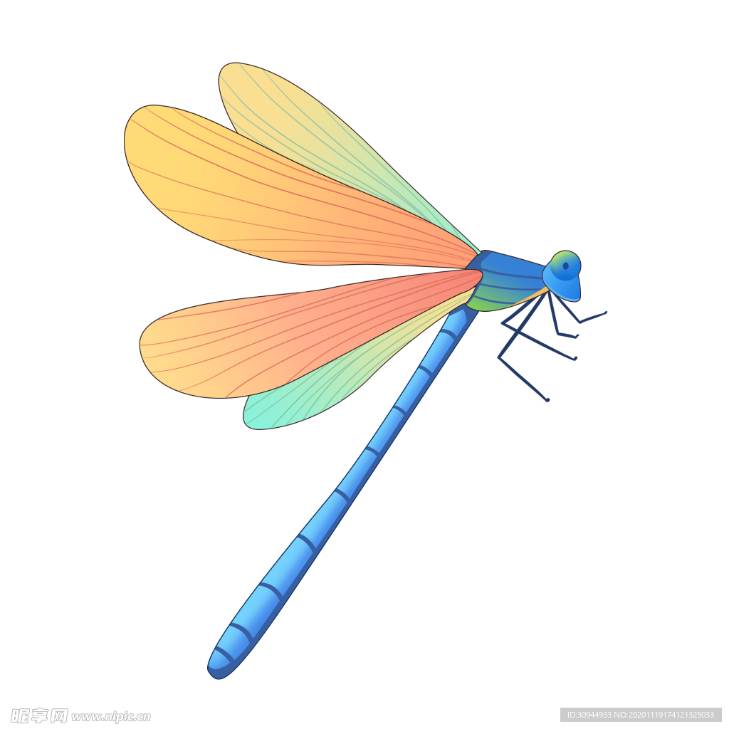蜻蜓设计图__昆虫_生物世界_设计图库_昵图网nipic.com