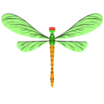 蜻蜓
