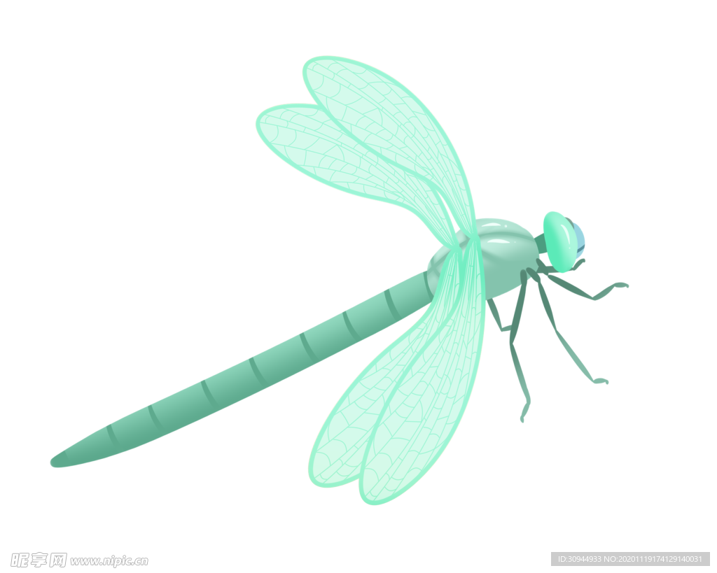 蜻蜓