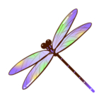 蜻蜓