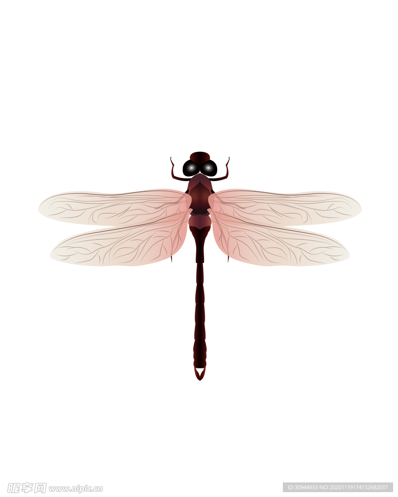 蜻蜓