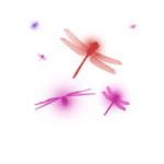 蜻蜓