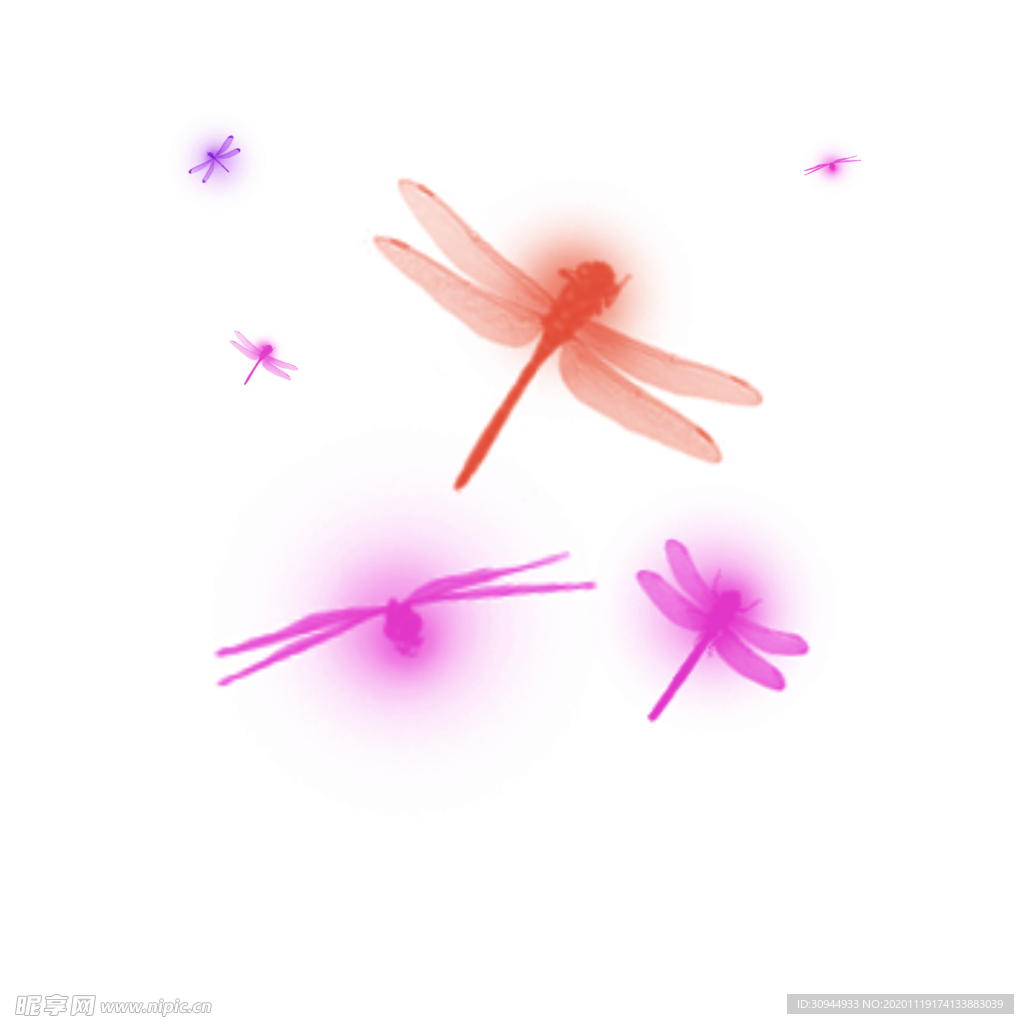 蜻蜓