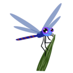 蜻蜓