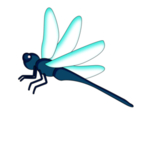 蜻蜓
