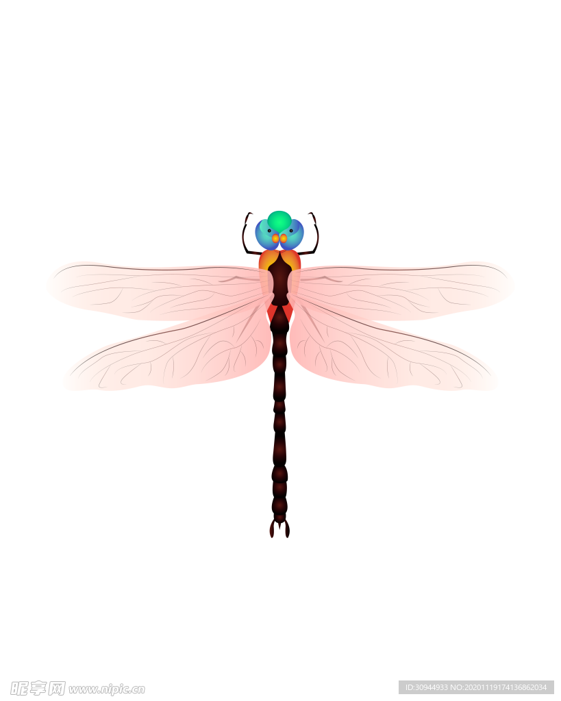 蜻蜓