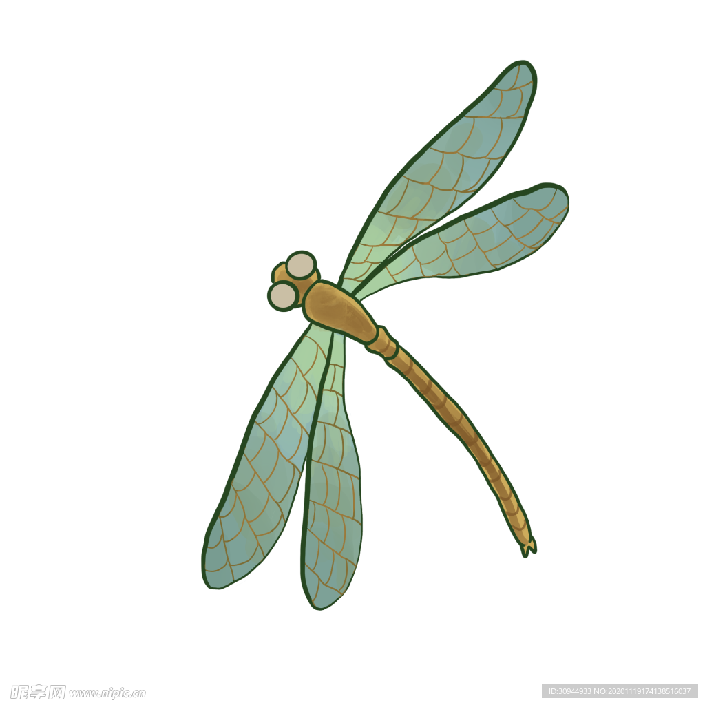 蜻蜓