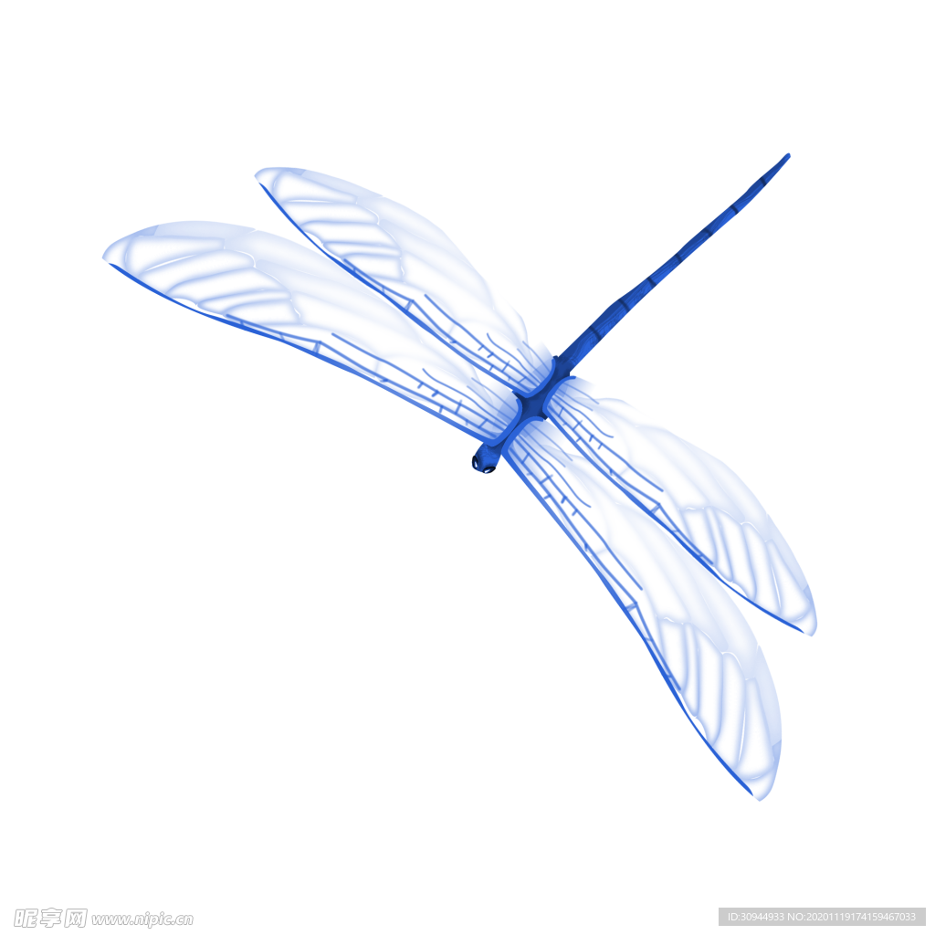 蜻蜓