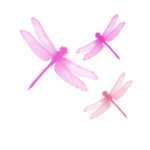 蜻蜓
