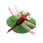 蜻蜓