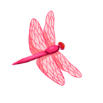 蜻蜓
