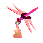 蜻蜓