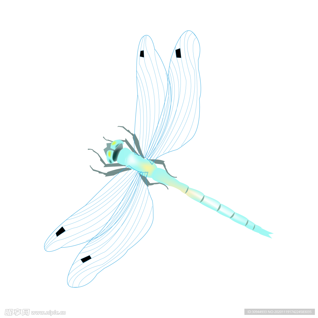 蜻蜓设计图__昆虫_生物世界_设计图库_昵图网nipic.com