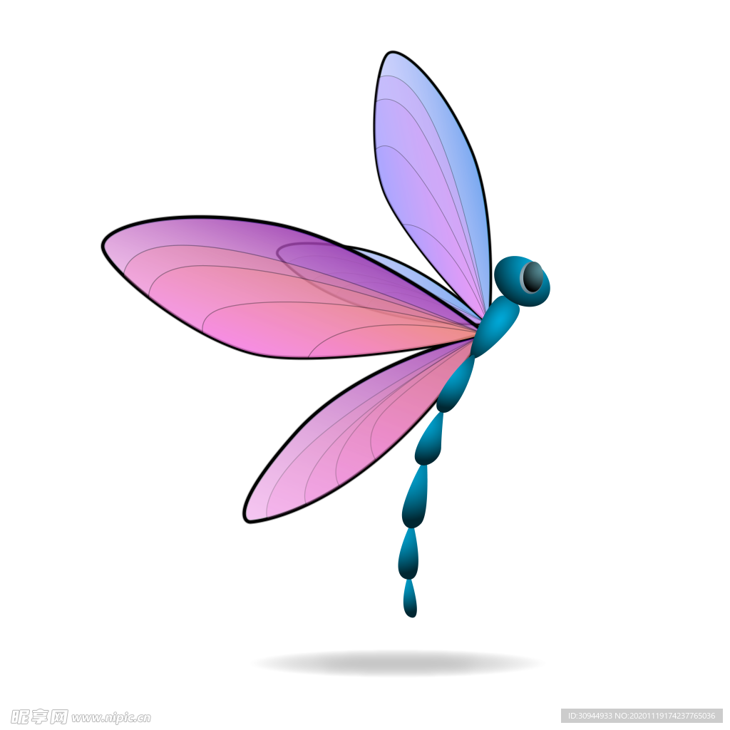 蜻蜓