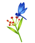 蜻蜓