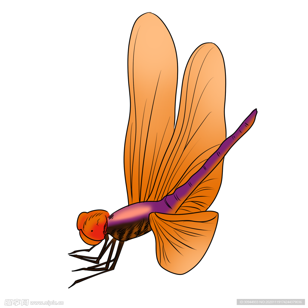 蜻蜓设计图__昆虫_生物世界_设计图库_昵图网nipic.com