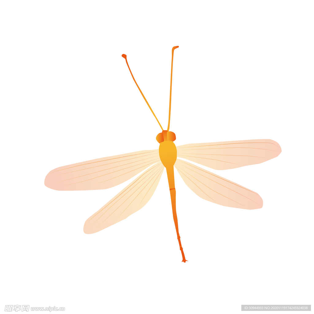 蜻蜓