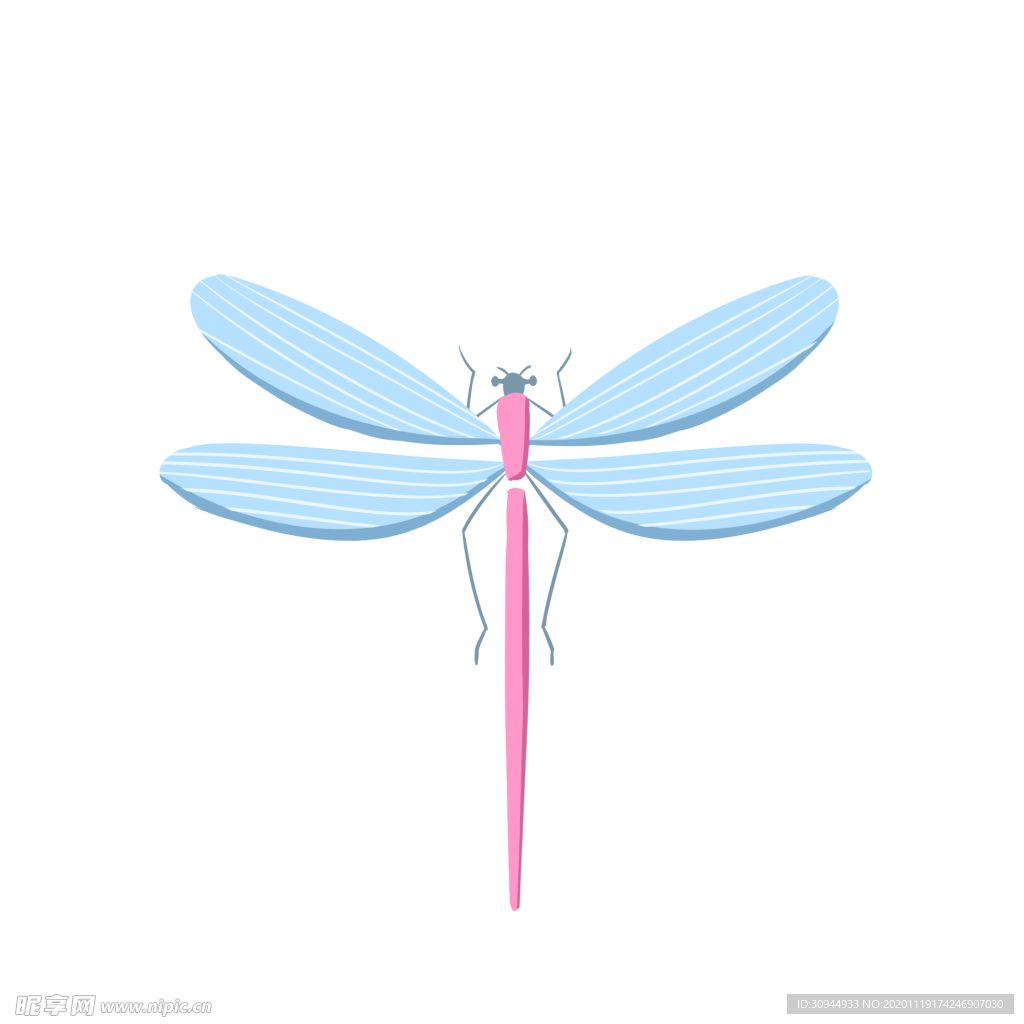 蜻蜓