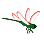 蜻蜓